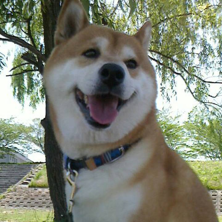 B260e595 f933 485a 94b3 2a60be07858d 1527411196198