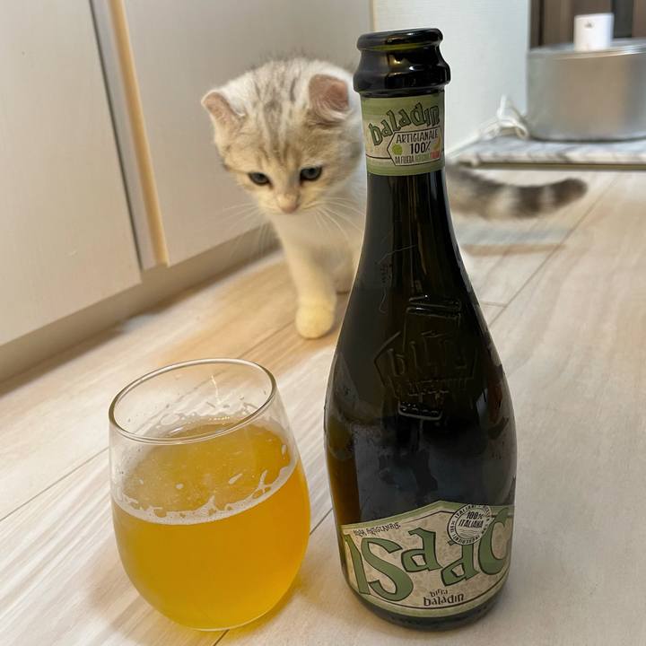 B260e8c8 38bd 4d1b 8d53 687f9c3deb4e 1776949479982