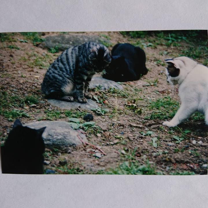 B260f28d 745f 480f 9b3f 7b0106c9cb66 1600550701301