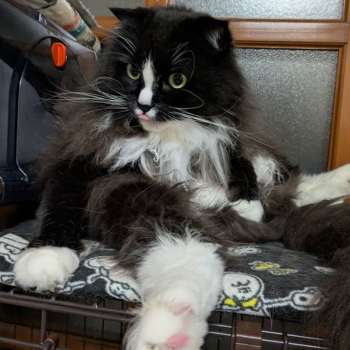 B2612990 fff7 4d46 9525 35ff2c7794e4 1737029985833