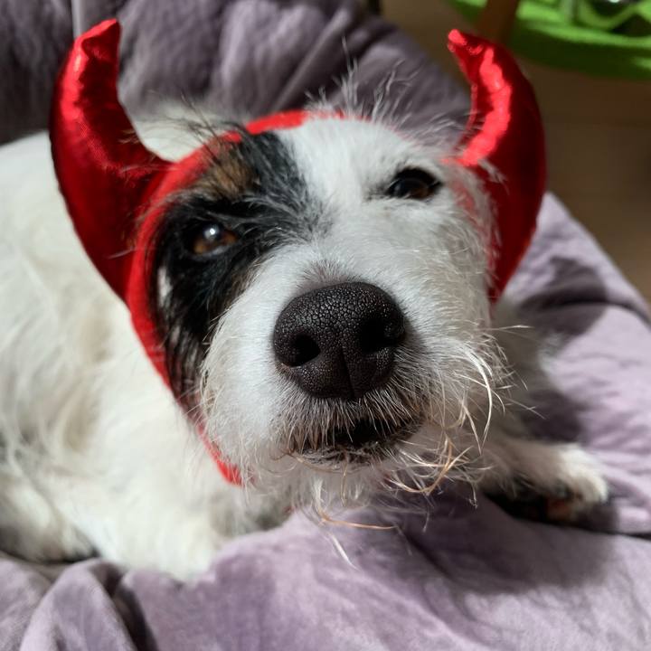 B2612b57 538b 4175 ace0 03cd38ec3b6d 1632886333338