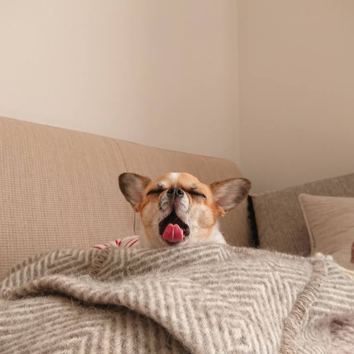 B2613911 6787 43e5 800c d4387f5746cd 1604042882217