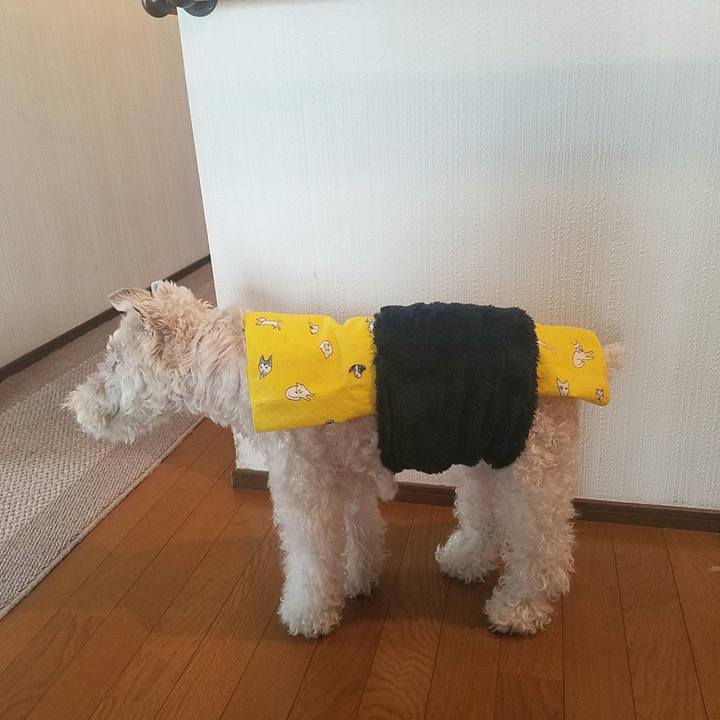 B2615c29 a668 4c4c b7de f966149704db 1584156609979