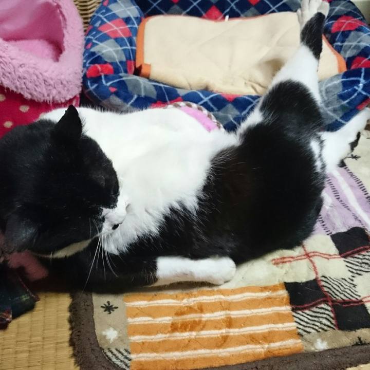 B26179e0 fabe 4fb7 ab01 bbcdefde3a26 1521468502148