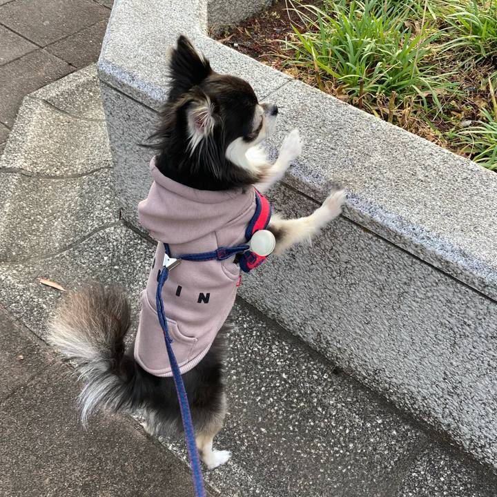 B261880c 78d1 44a3 926e 008a5ebafff5 1701515716156