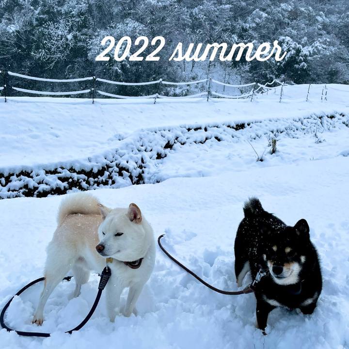 B261e7d5 59e2 445c a941 5033859a1122 1659422806934