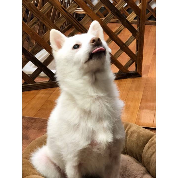 B261ed5f a106 4056 b7fd 17c541a274d1 1576501520416