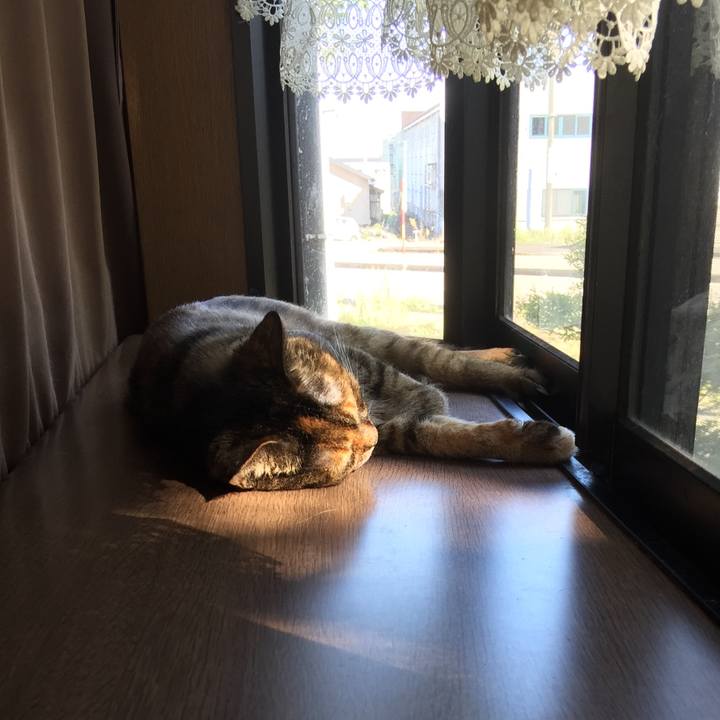 B261f857 b3f0 49e2 b356 bc0ea7cfb789 1569388038959