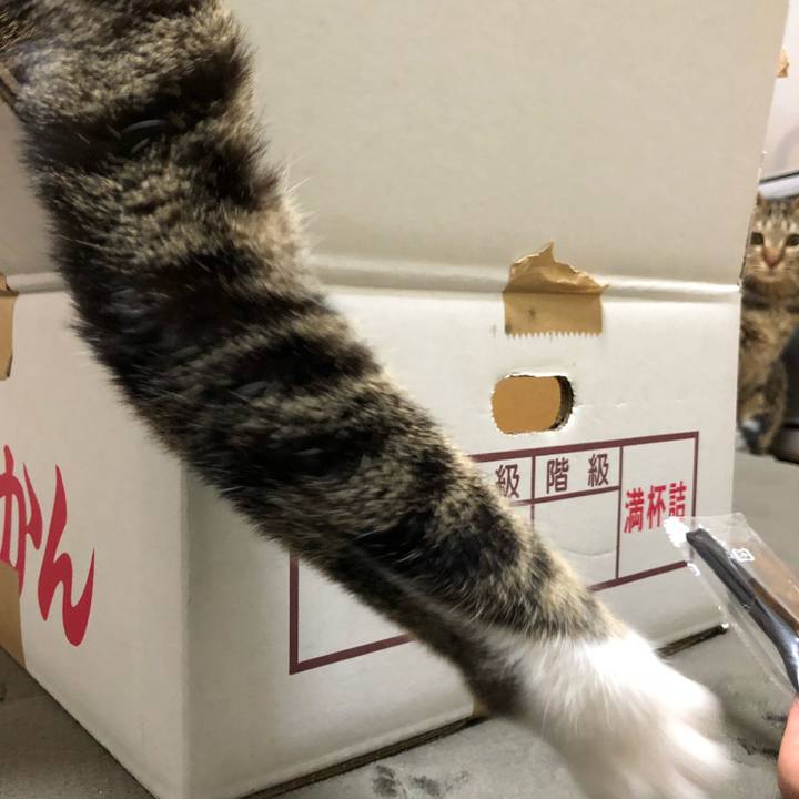 B2621bf3 d66b 4ce0 b153 d1b7160884f5 1521559096206