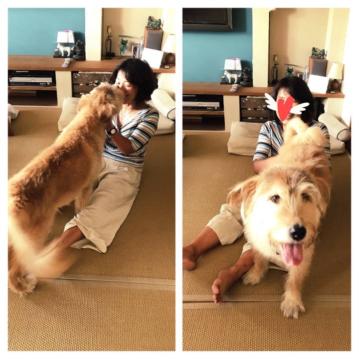 B2623146 e551 4354 9ec1 42231f4e0f09 1534036424553