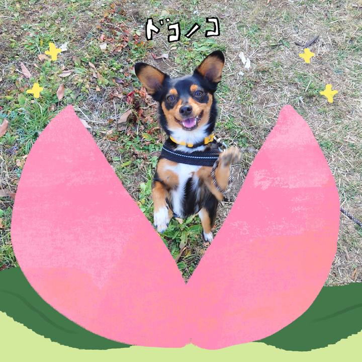 B2628c99 d90c 44bb 8651 742f6f4d88b2 1771974356916