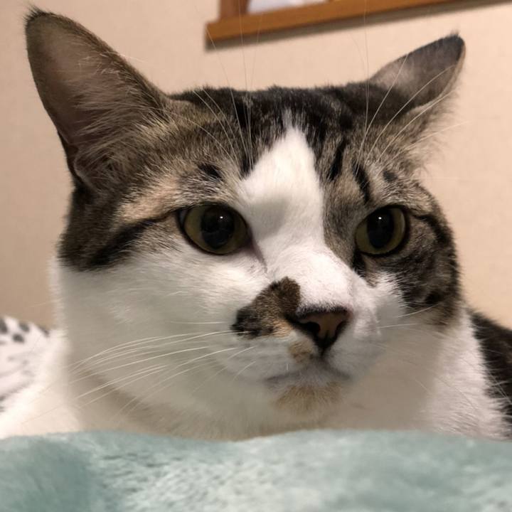 B2630d0c 343f 4c7e 84ef cdc59eb57c56 1642343485822