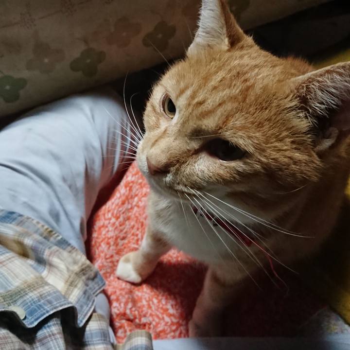 B2632106 53be 4b8c 8aad 6e6bce84b7a9 1570739820034