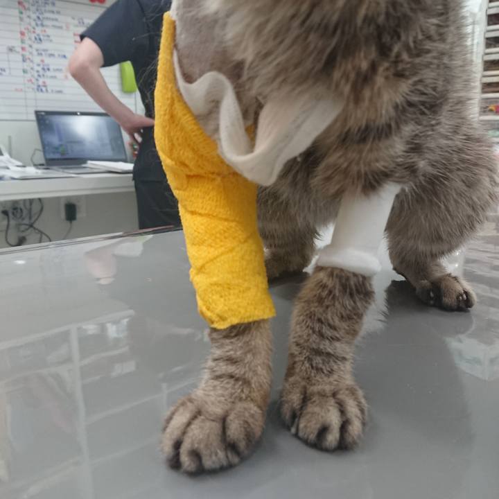 B2634e78 4489 4129 8b5d be7e033182a2 1586250387355