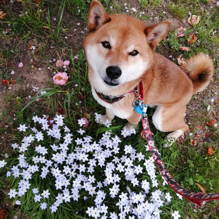 B26358cf 6200 4e4f a592 a6ce238ff925 1585293899492