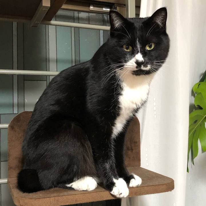 B263aceb 9c31 4424 8a69 d7a52b51e3b8 1646105615796