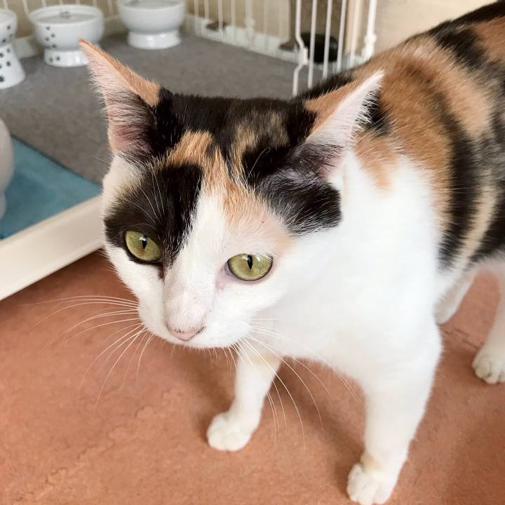 B2641322 9e79 424f a40c 4e8287404c71 1536199963566