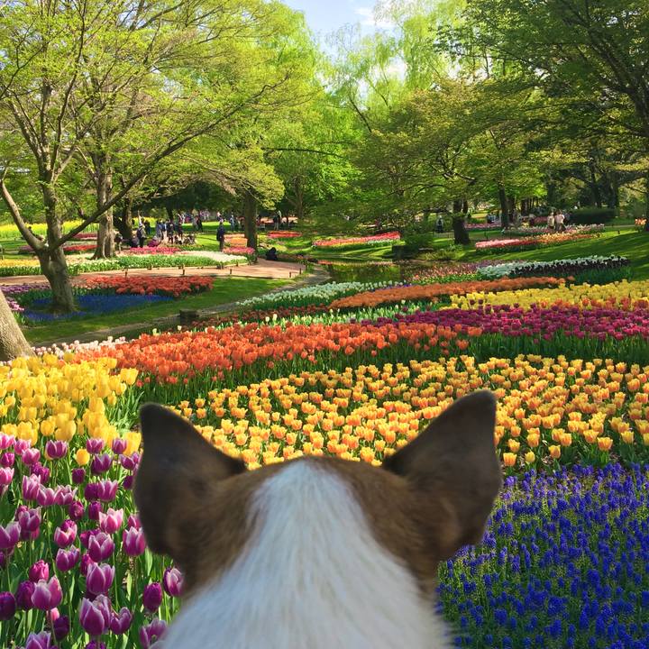 B26430b5 e676 4181 acc8 d44319a96441 1617924142349