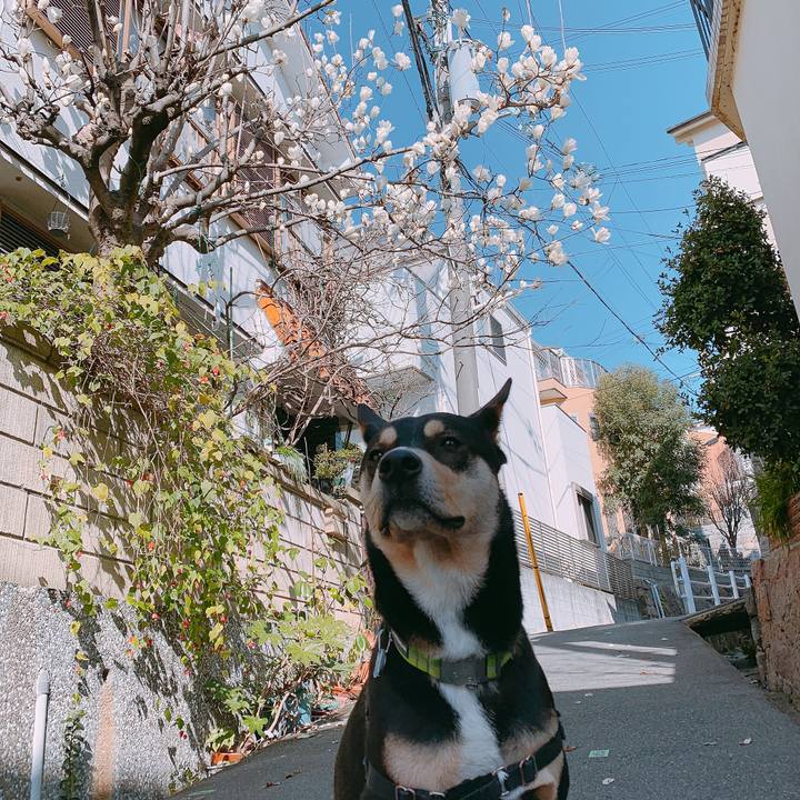 B26442d3 f03e 4699 b700 3d9134c0fd53 1552891809655