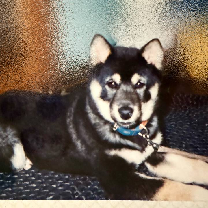 B2645140 2888 49cd b2cd 81413a7cd1b4 1728259419066