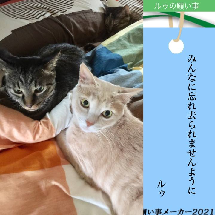 B2647078 e255 45c5 b1a6 8ec543c4f934 1625561493071