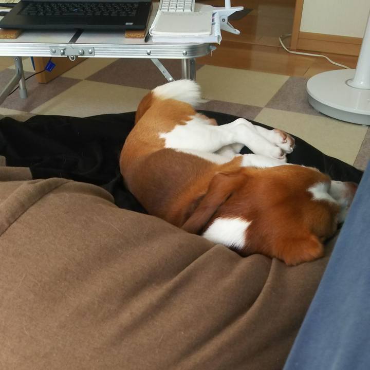 B2648a07 8d73 45cd ae47 c2391ba4e77a 1629692913445