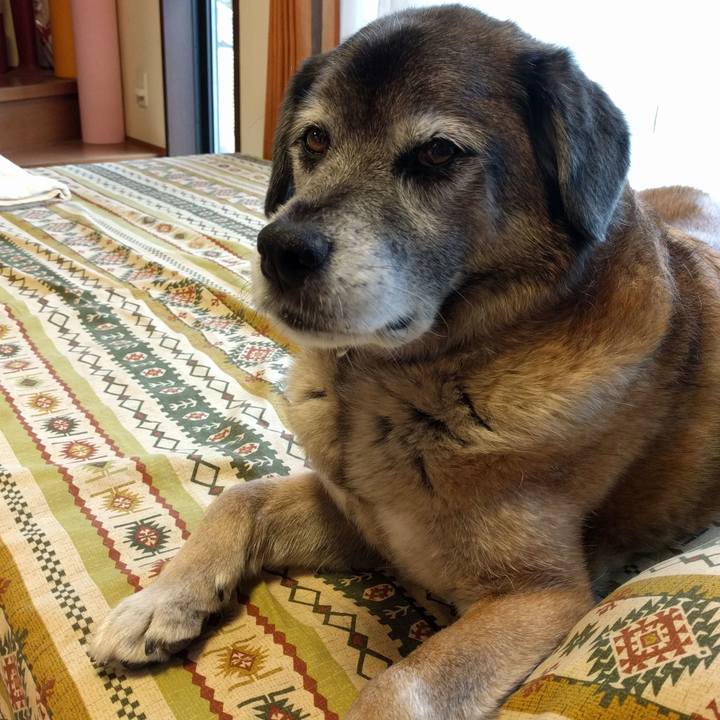 B2649dfc bb16 435a 80e0 8fb5ea22ffa4 1524033931589