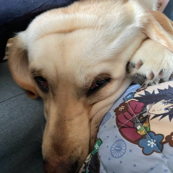 B264b071 8df4 4d5d a1b4 5b7defa9d8b6 1648796805958