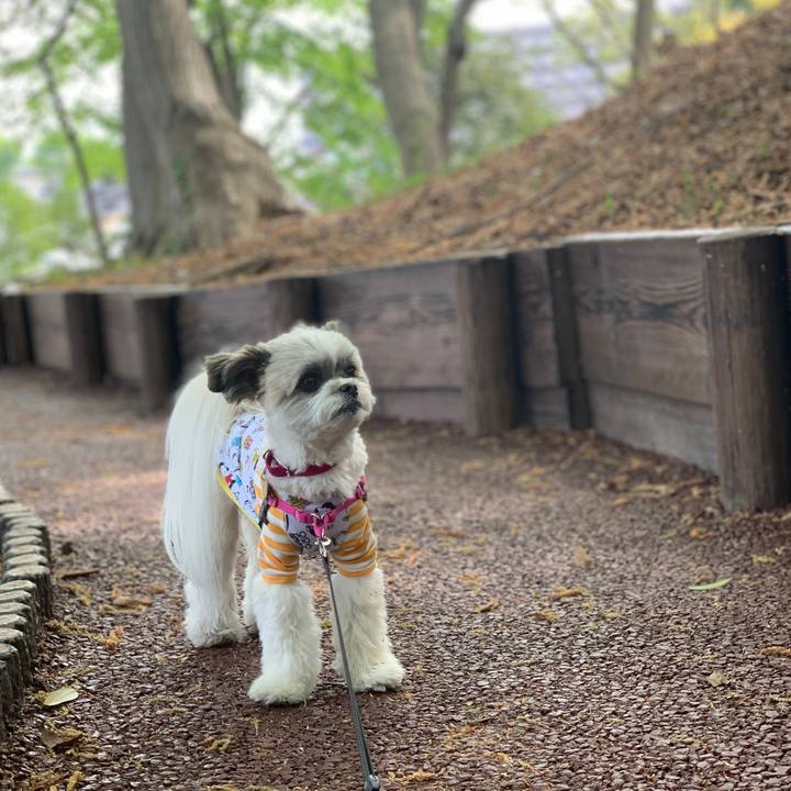 B264dc1f 6646 47b5 9535 05f3e7c5f8ce 1555899833081