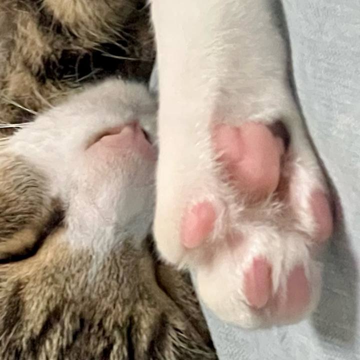 B264f579 be9f 457e 852d 9008a7de5996 1765618102771