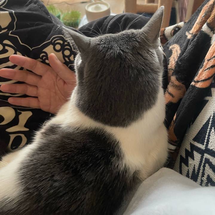 B264f89b 34d3 47ee 9253 7b801c75a958 1740211817818