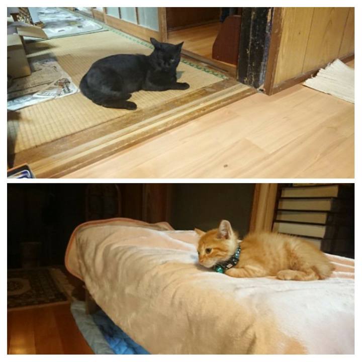 B264fb2c 7de9 4499 ab08 39fa21ea3aa7 1627911188038