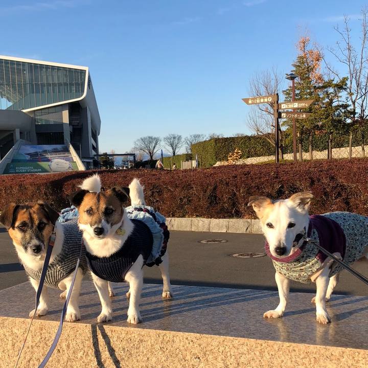 B2651d69 a62d 4da8 9a3b 8fbaa3e16569 1580632217339