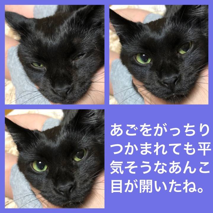 B26528dd 1a15 41db a82a 2f08f9214867 1579695328610