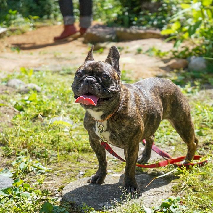 B2654b62 faf6 4fdd 8c85 41f6c95e1797 1568547085084