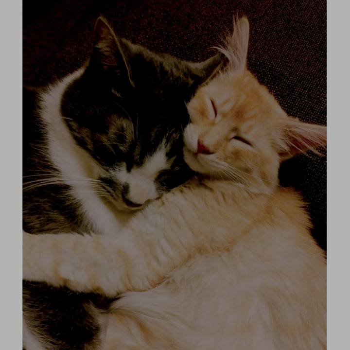 B2657c7f 4849 4daf bc69 b652bd6994dc 1608764693295