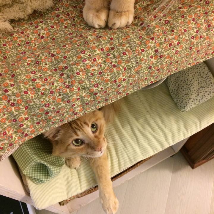 B2659542 4cec 440e 8772 ec9a2571ae8d 1515721480563