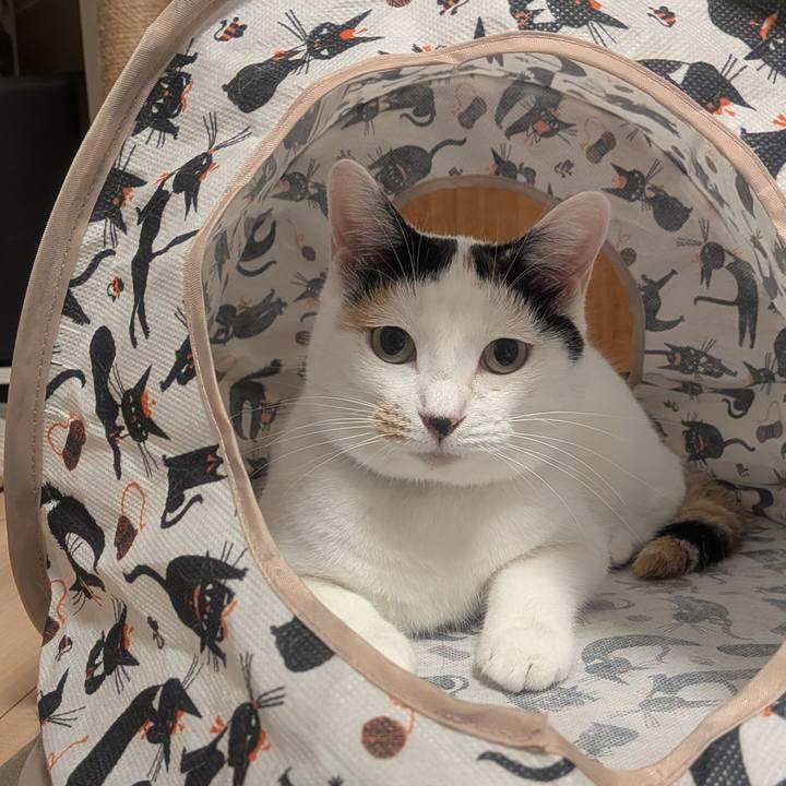 B265a3ea fb58 46ec beaa 19cff3d0d2d4 1754147810388