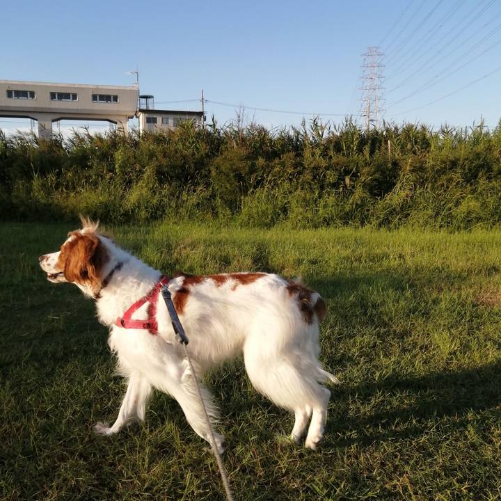 B265abfd 3a64 4f3e b0d7 7bd87df2c489 1570447006115