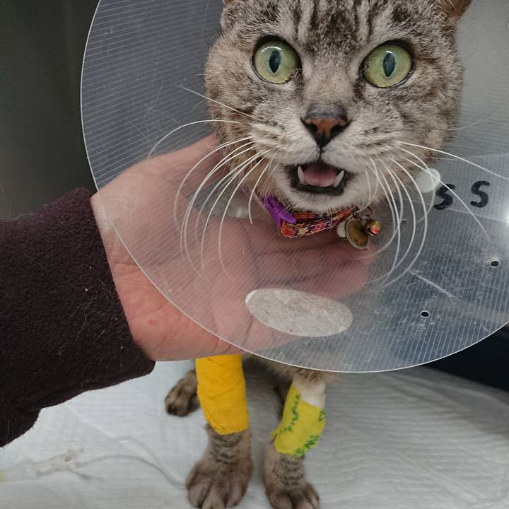 B265b2bf 08aa 46a6 b6b8 84ff147b334d 1586070600459