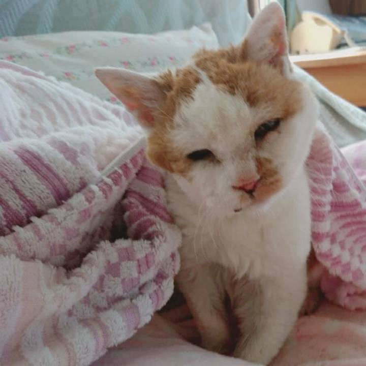 B265c70a 6e12 4df5 8987 d20bec349f49 1621742898925