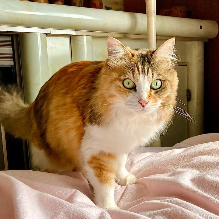 B265f4b7 d124 4958 bb5b 2eac3d2b1cee 1684310003276