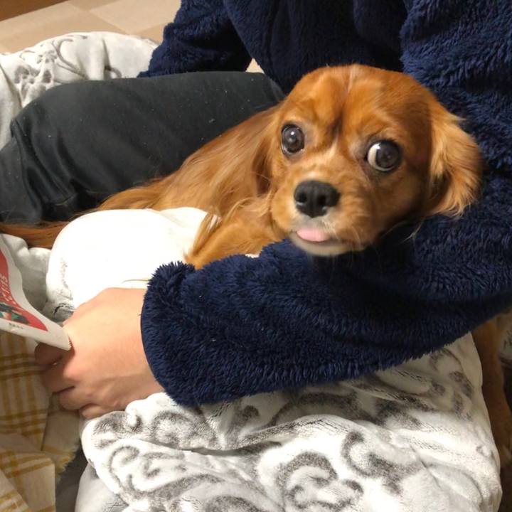 B266260e 5c26 4127 9fed 27f02873c038 1546729780523