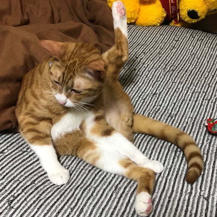 B2662886 094e 4d37 8626 55b828b6deeb 1567167201329