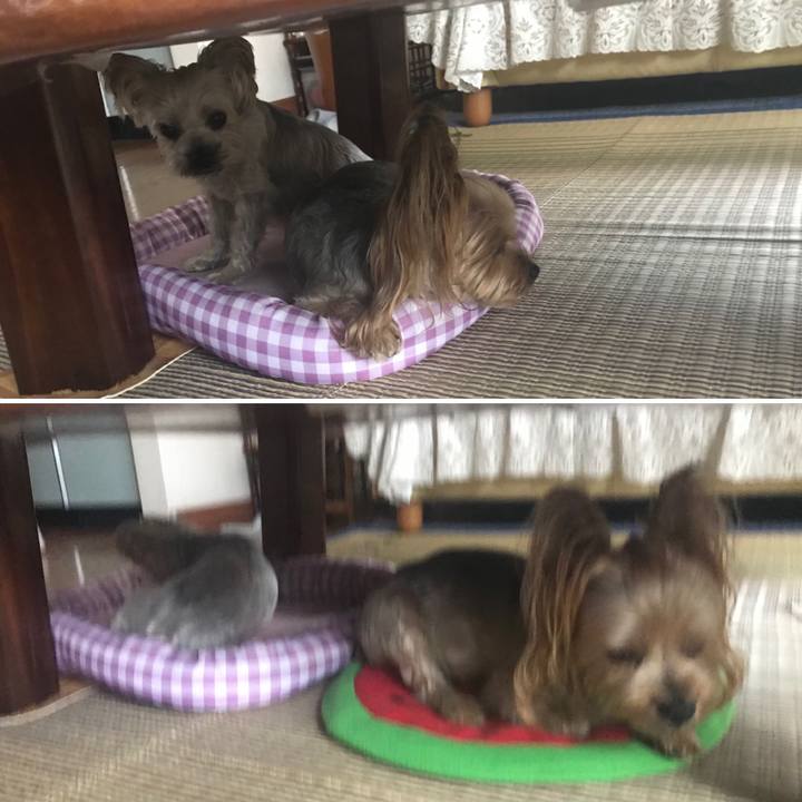 B2667531 ff08 4932 a597 a27ff8e8a669 1566296620386