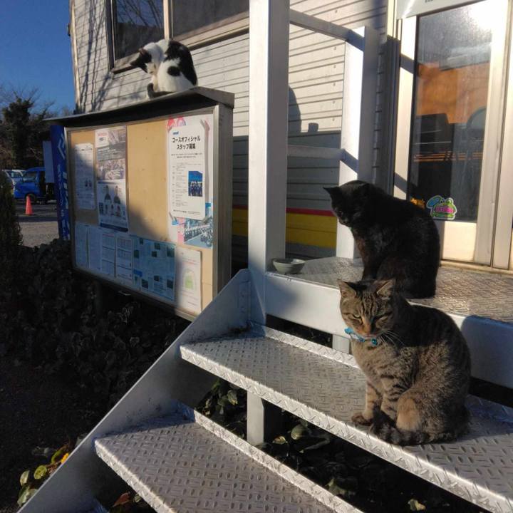 B266775c b6df 4256 8eca dc22e94a1647 1703417841887