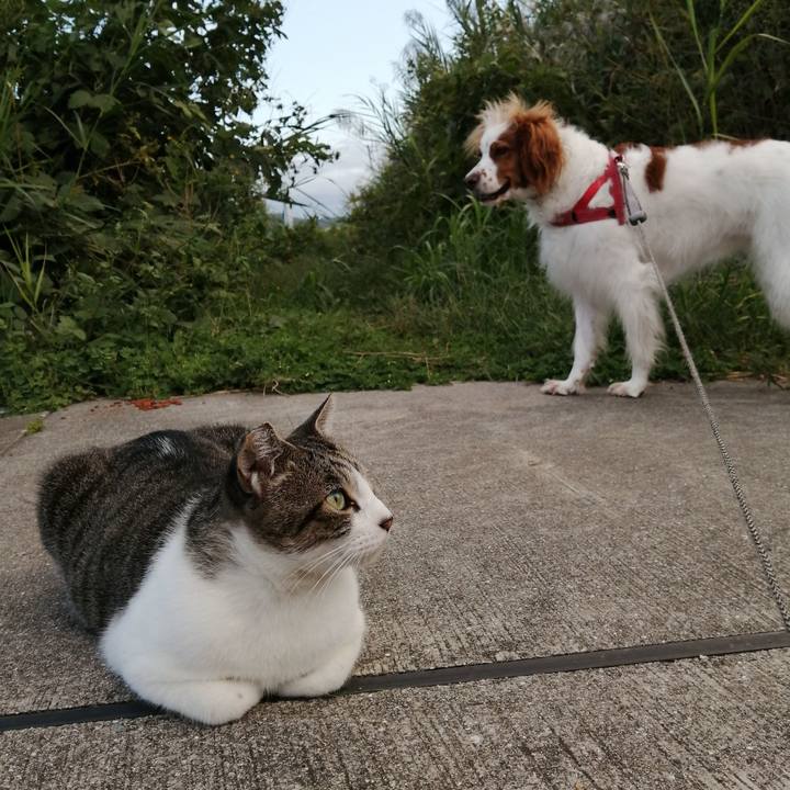 B26683da 9aca 406e a9fc 60ca9999b234 1571139142683