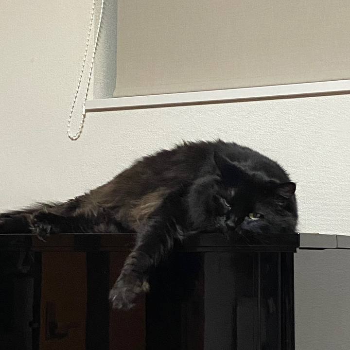 B266c445 721c 4b04 8354 4b12c946d1af 1619695044606