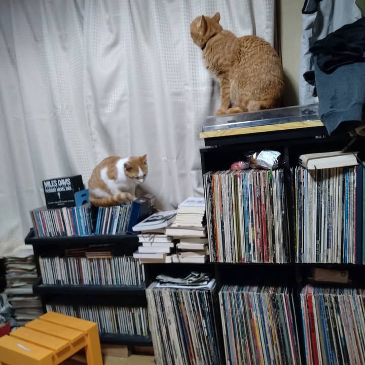 B266e80e 0a30 48e3 9e12 72b95b8c564d 1735292049997