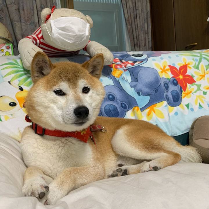 B26710e5 d693 4778 8991 8c17383d8d35 1625395843055